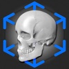 AR Anatomy: Skeleton