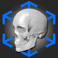 AR Anatomy: Skeleton
