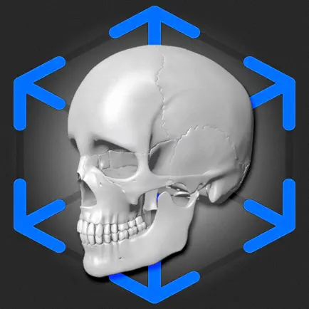 AR Anatomy: Skeleton Читы