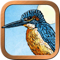 App Icon for Animal Totem Tarot App in Slovenia IOS App Store