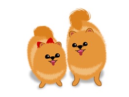 Daughter And Mother Pomeranian