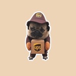 animals with jobs very cute