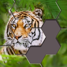 Hexa Jigsaw Puzzle™ icon