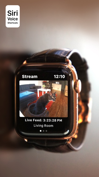 Nest cam apple store watch