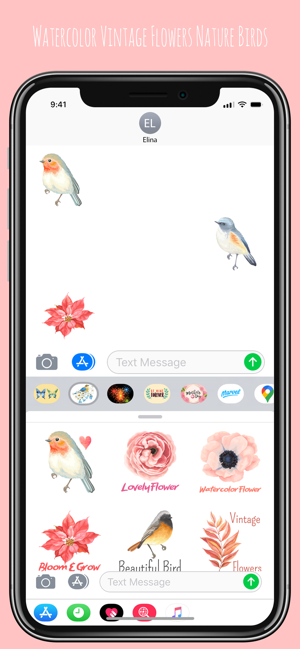 Vintage Birds & Floral Sticker(圖3)-速報App