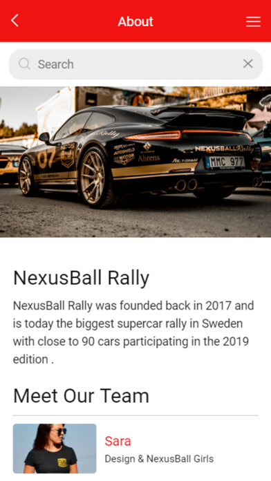 NexusBall Rally screenshot 2
