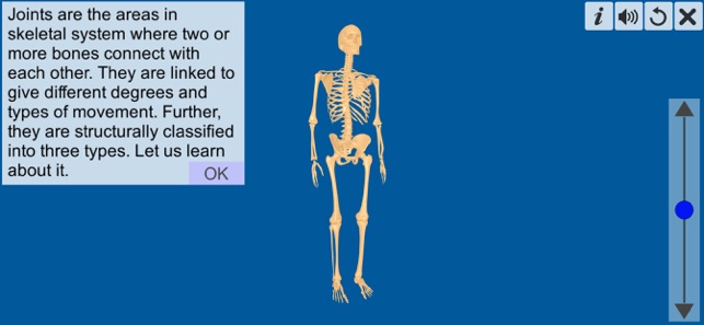 Joints: The Human Levers