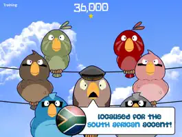 Game screenshot Feather Squadron: South Africa mod apk