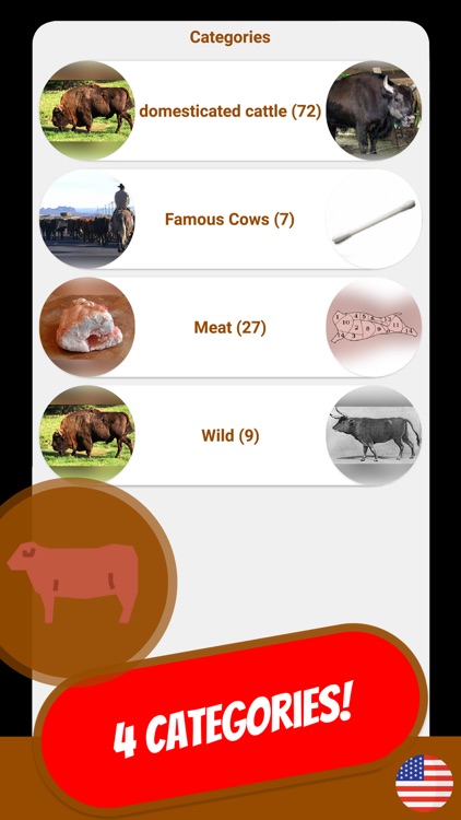 COW & BOVINE Quiz