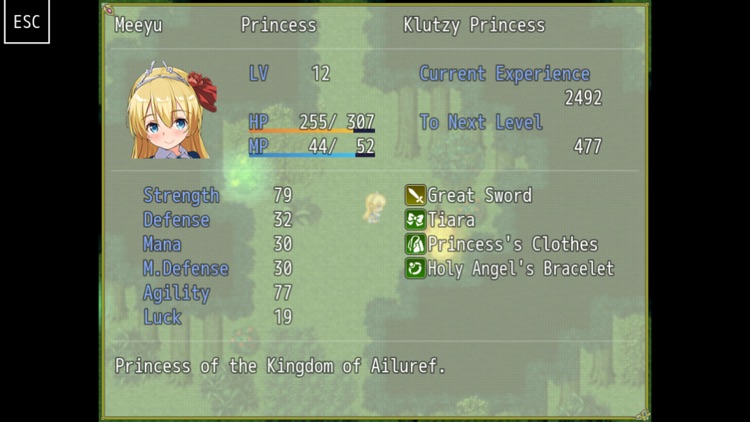 Princess Project screenshot-4