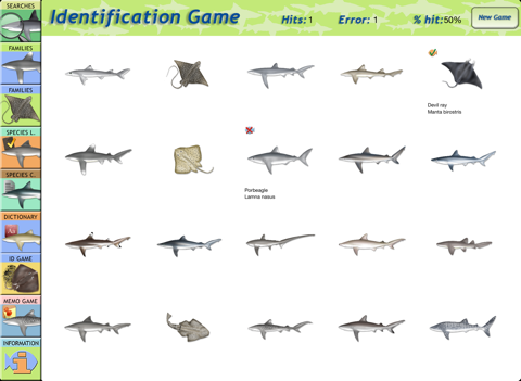 Sharks & Rays screenshot 4