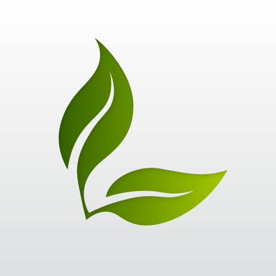 Leaf: stress-free productivity