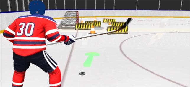 Hockey Games 3D(圖6)-速報App