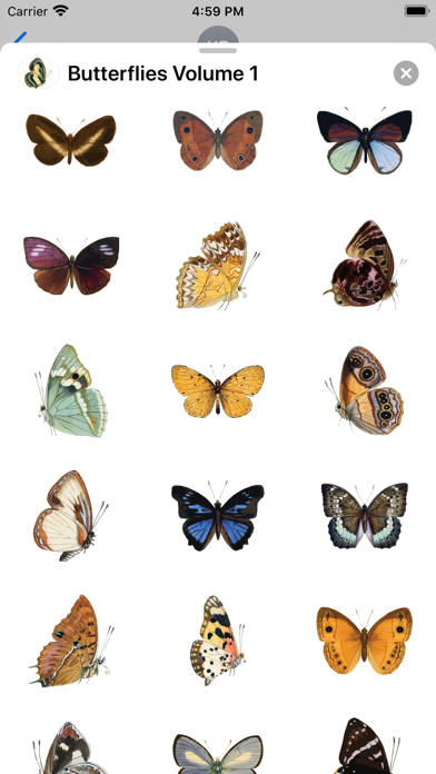 Butterflies Volume 1 screenshot 4