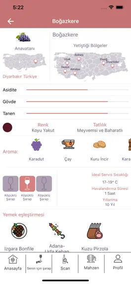 Game screenshot Sarapp hack