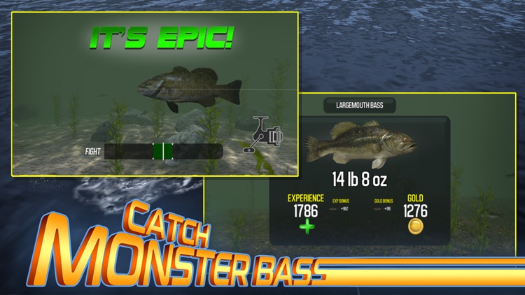 Master Bass Angler: Fishing screenshot-3