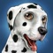 Icon DogWorld - My Puppy