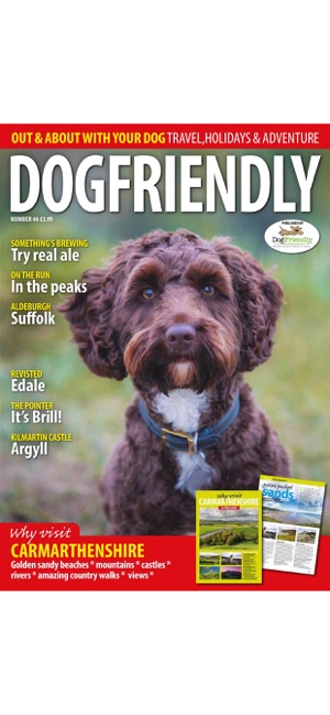 Dog Friendly Magazine(圖8)-速報App