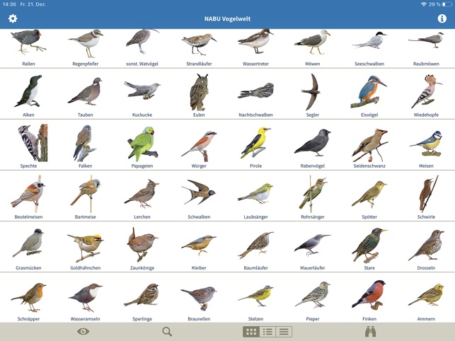Vogelarten kennenlernen und bestimmen