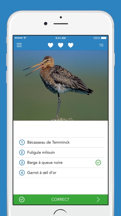 Oiseaux 2 PRO Oiseaux 2 PRO