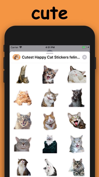 Cutest Happy Cat Stickers