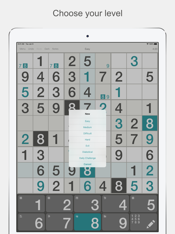 Sudoku ″ для iPad