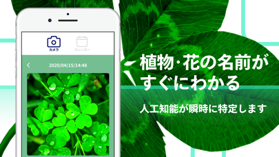 はなしらべ - 花や植物の名前判定アプリのおすすめ画像1