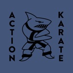 Download Action Karate app