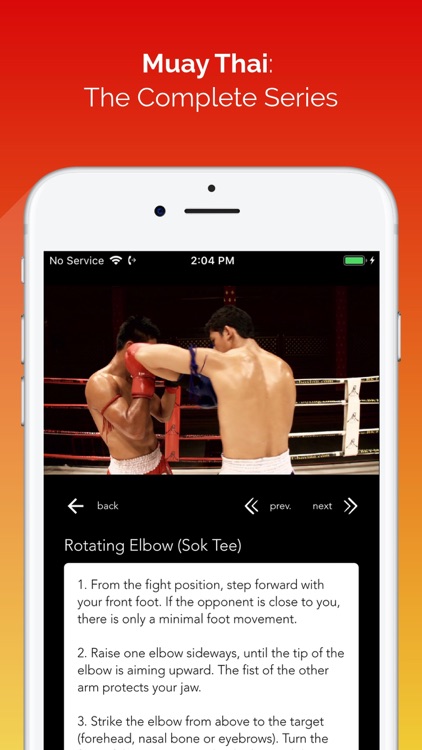 Muay Thai: The Complete Series screenshot-4