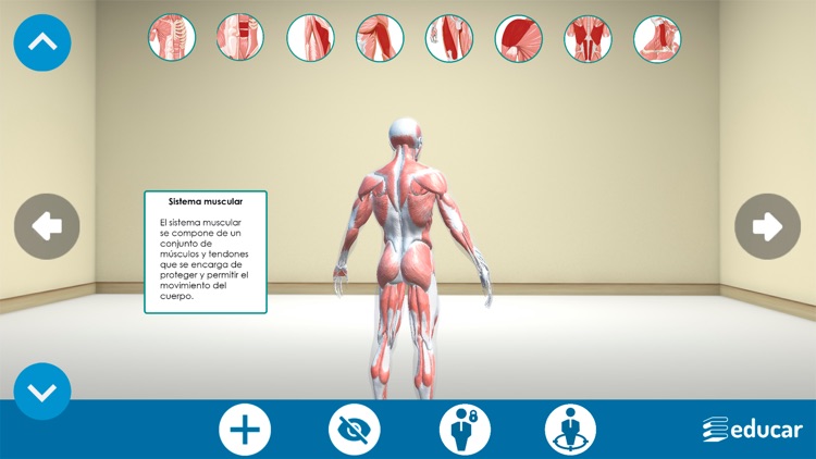 Mi Cuerpo Humano en 3D screenshot-7