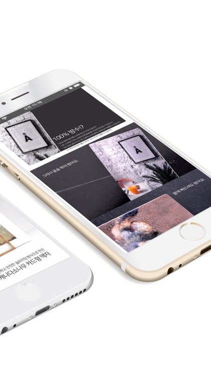 SD포토 - 액자전문