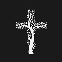 Encouraging Bible Quotes pc