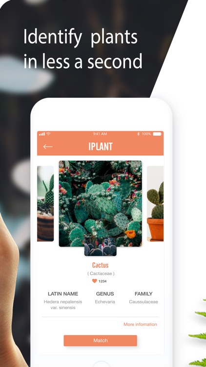 PlantDetect - Plant Identifier