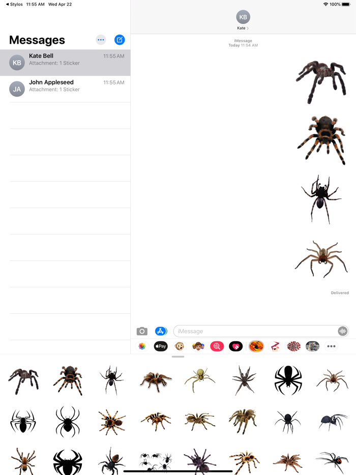 Spider Collection