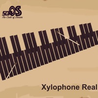 Xylophone Real: 2 mallet types apk