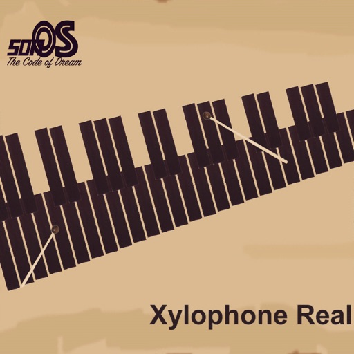 Xylophone Real: 2 mallet types iOS App