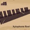 The xylophone is a musical instrument in the percussion family that consists of wooden bars struck by mallets