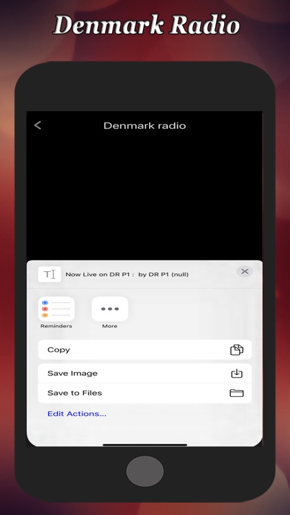 Denmark Radio