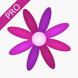 Menstrual Period Tracker Pro Apple Watch App