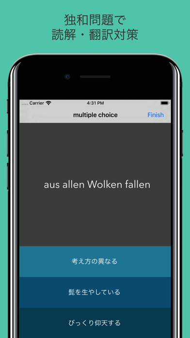 上級 ドイツ語 - Oberstufe screenshot1