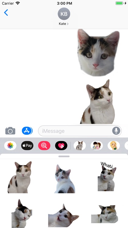 Amusing Cat Sticker Pack screenshot-3