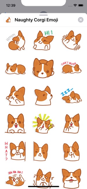 Naughty Corgi Emoji(圖3)-速報App