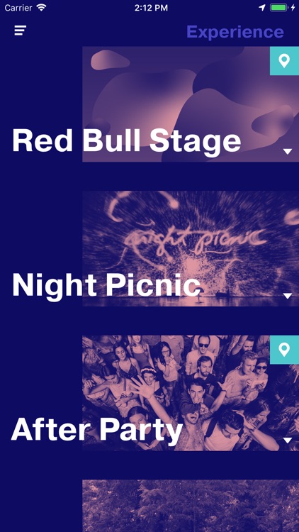 Summer Well Festival screenshot-5