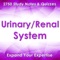 Urinary/Renal System Exam Review : 2750 Quiz & Study Notes