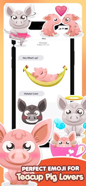 Mini-Pig Pet Emoji Stickers(圖1)-速報App