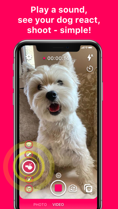 How to cancel & delete DogCam - Dog Selfie Camera from iphone & ipad 3