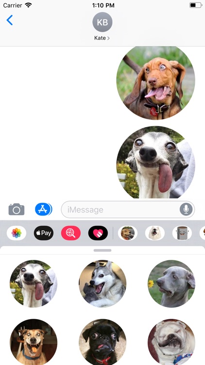 Silly Dogs Sticker Pack