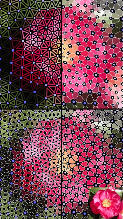 TriMeshImager screenshot-7