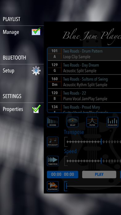 BlueJamPlayer screenshot 2