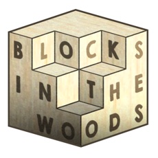 Activities of Blocks In The Woods